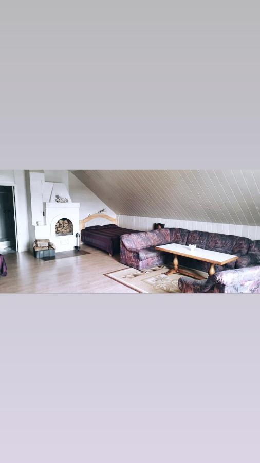 Stasio Balseviciaus Homestead Raudone ภายนอก รูปภาพ