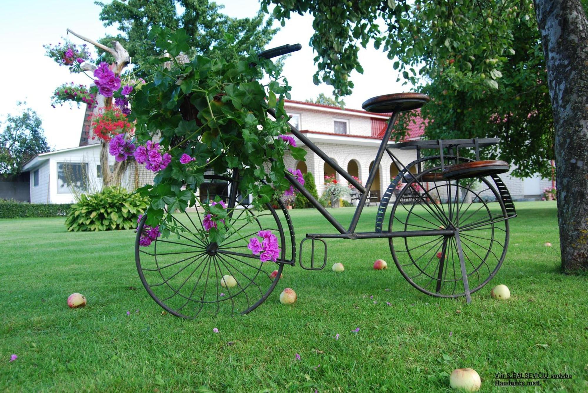 Stasio Balseviciaus Homestead Raudone ภายนอก รูปภาพ